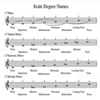 Scale Degree Names