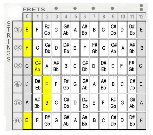 A guitar fretboard that shows the names of notes on each string. Chord shown: E Major.