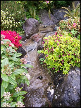 gardens