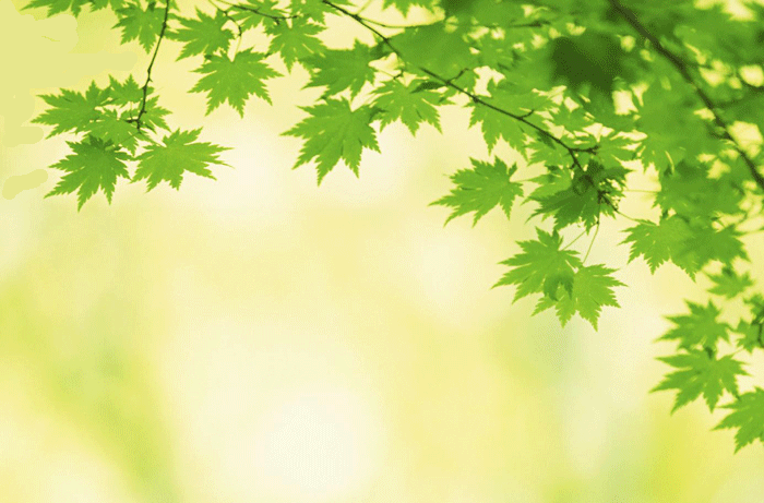 Tokiwa Landscaping