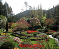Butchart Gardens